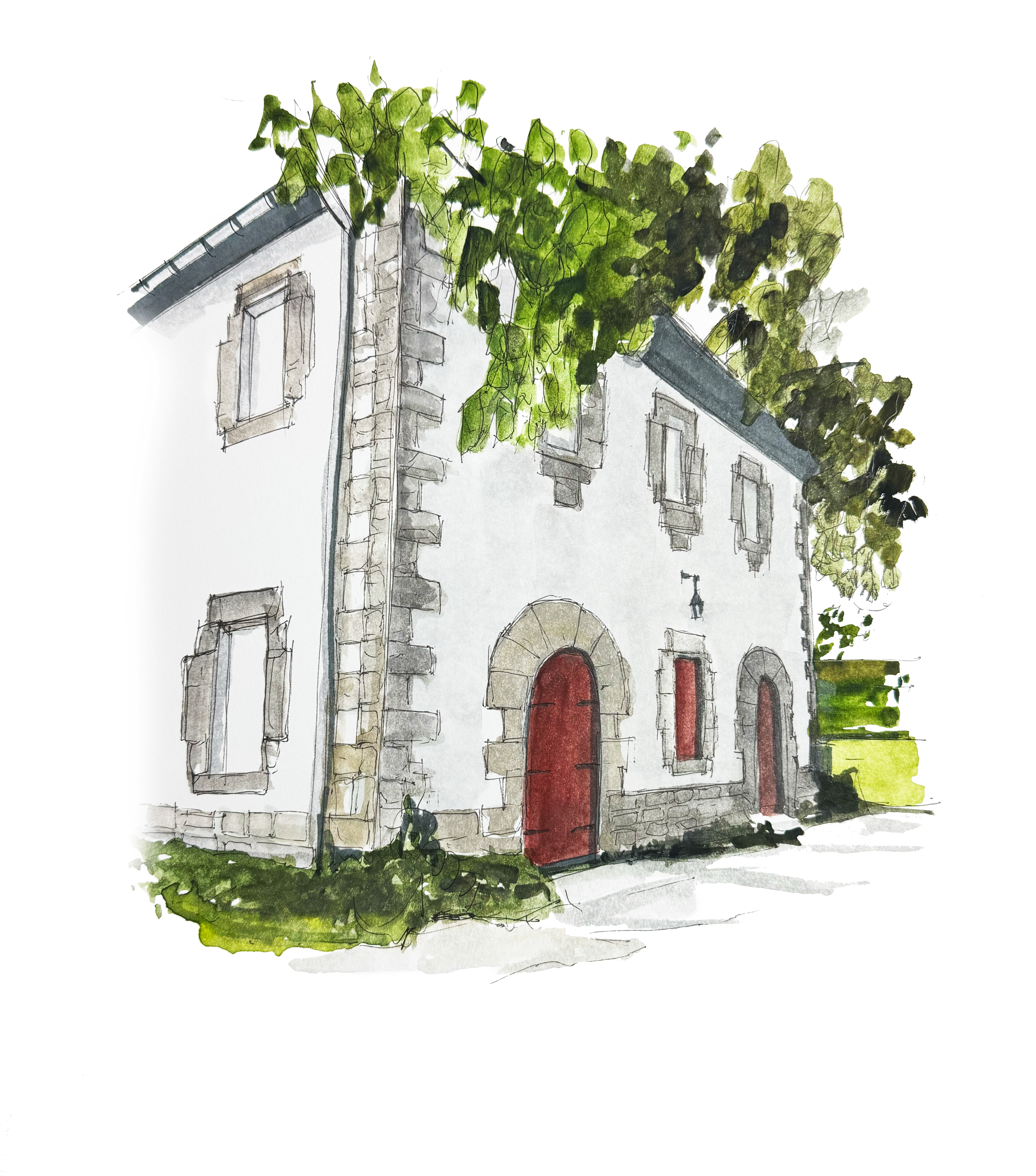 Botanical House Illustration